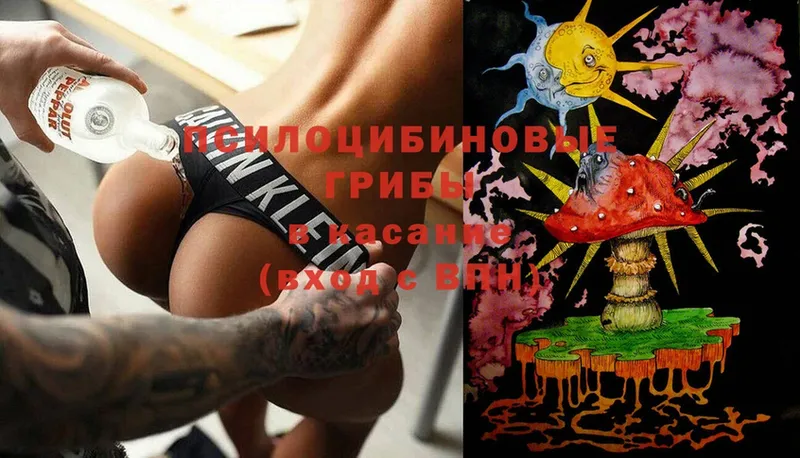 Псилоцибиновые грибы MAGIC MUSHROOMS  hydra как войти  Буй 